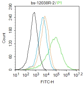 CLIC6 Rabbit pAb(bs-12038R)-50