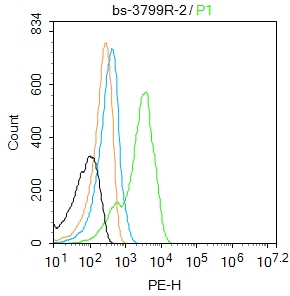 KLK11 Rabbit pAb(bs-3799R)-50u