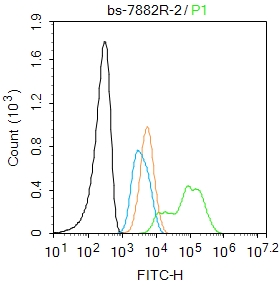 UBE2V1 Rabbit pAb(bs-7882R)-50