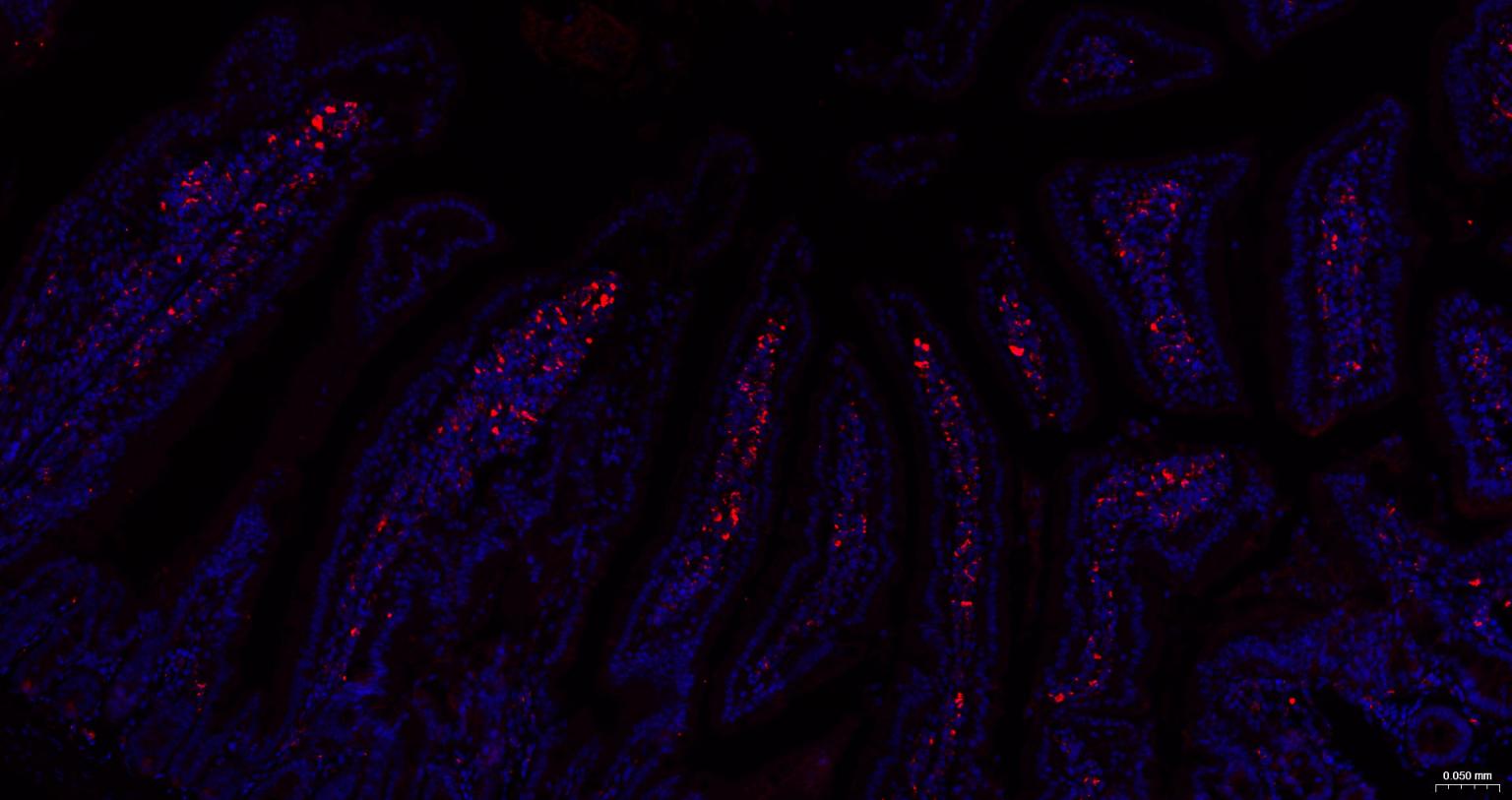 产品细节图片10