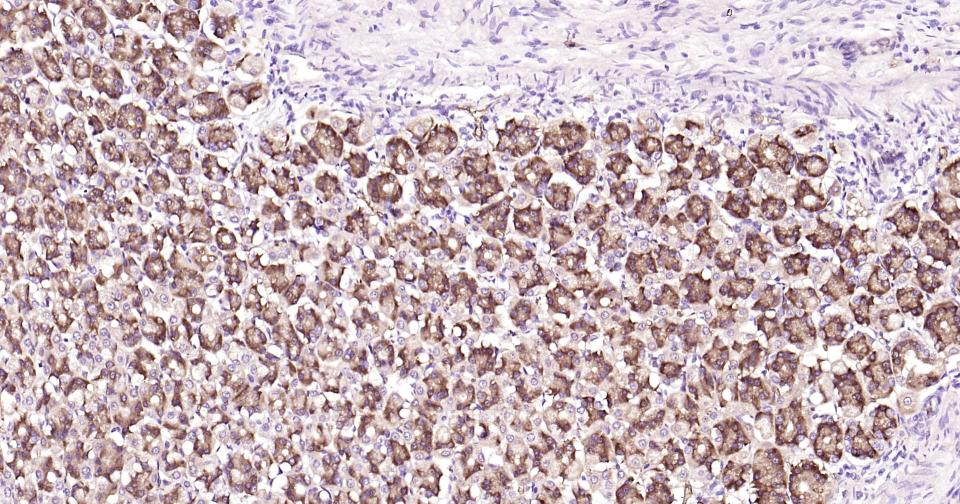 产品细节图片10