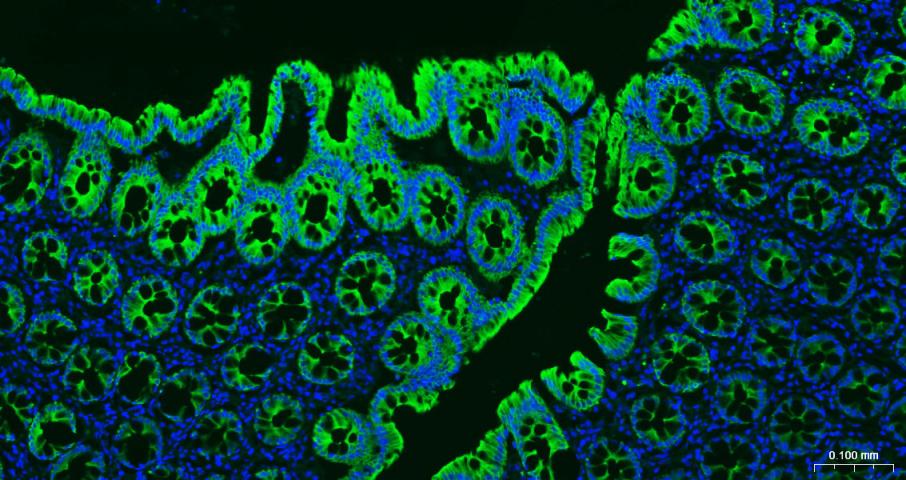 产品细节图片15