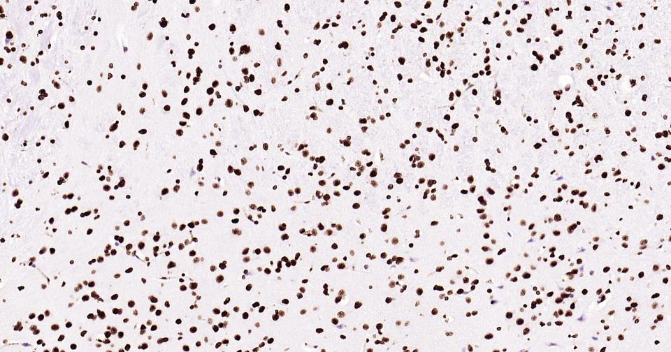 产品细节图片20