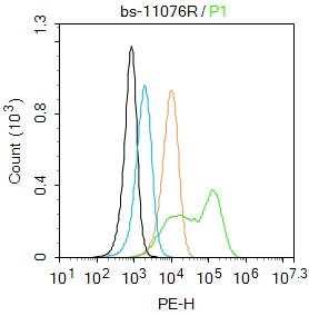 CNTNAP4 Rabbit pAb(bs-11076R)-