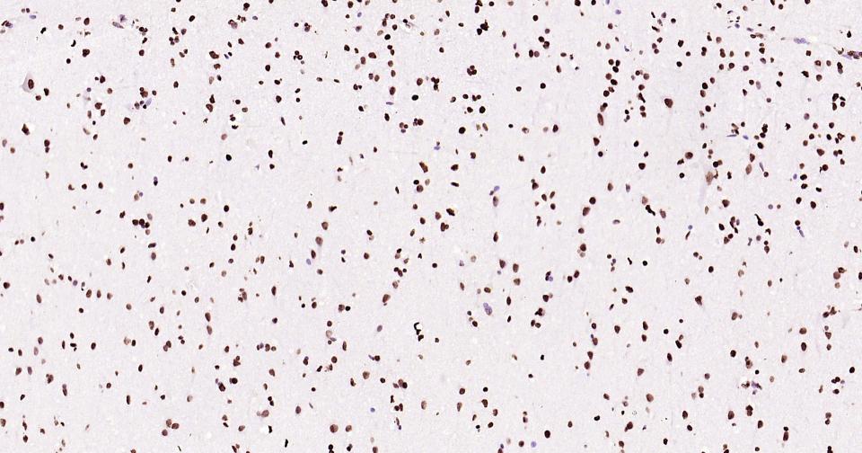 产品细节图片22