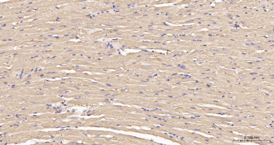 产品细节图片12