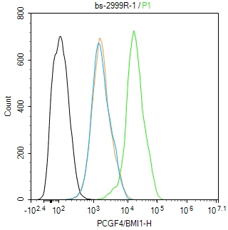 PCGF4/BMI1 Rabbit pAb(bs-2999R