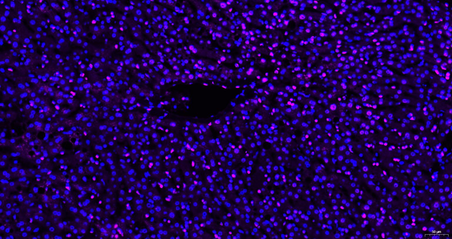 产品细节图片11