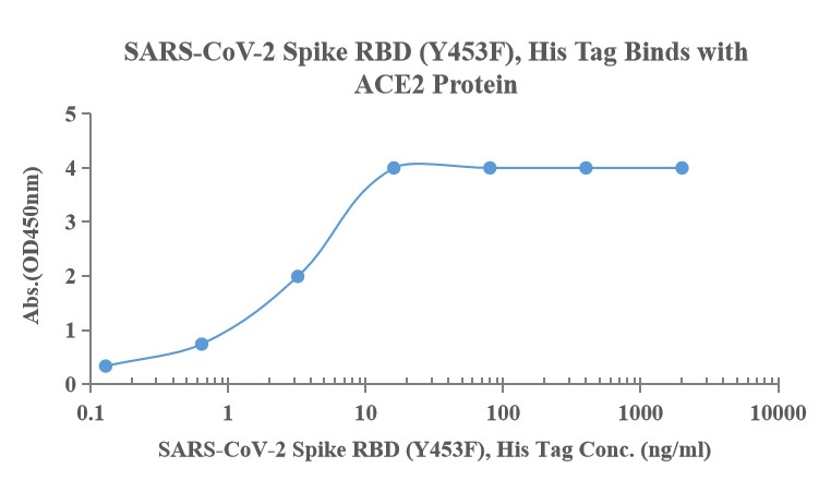 Recombinant SARS-Cov-2 Spike R