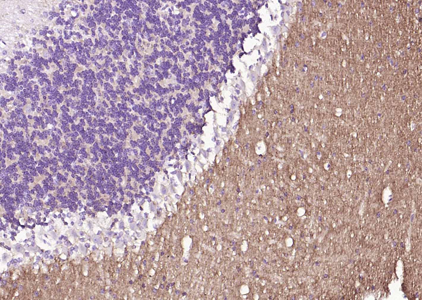 产品细节图片10