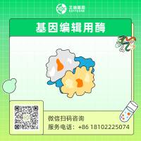 CRISPR基因编辑用酶/Cas酶定制开发服务（SpCas9/LbCas12a/AapCas12b/LbuCas13a/LwaCas13a）