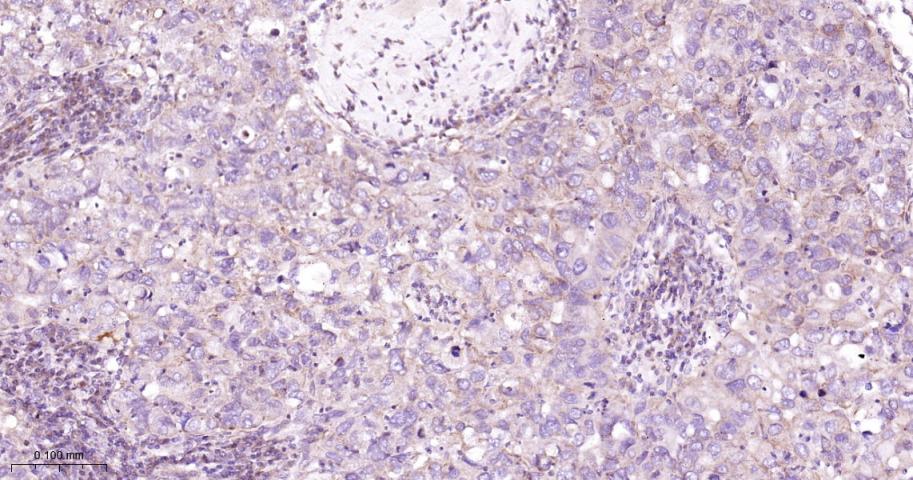 产品细节图片12