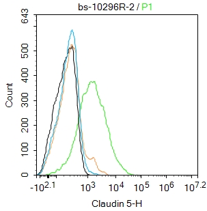 Claudin 5 Rabbit pAb(bs-10296R