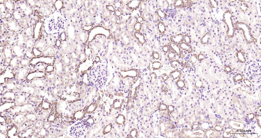 产品细节图片11