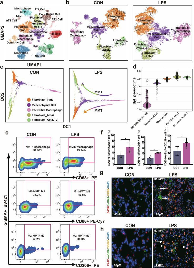 迁移体研究 迁移体研究