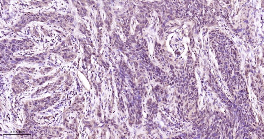 产品细节图片10