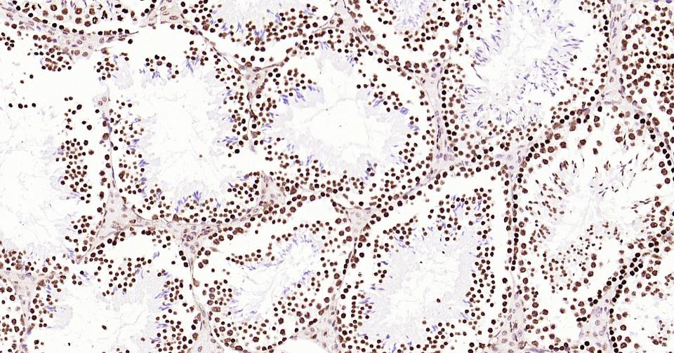 产品细节图片15