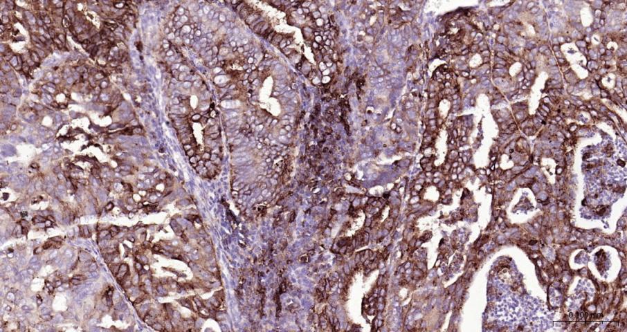 产品细节图片10