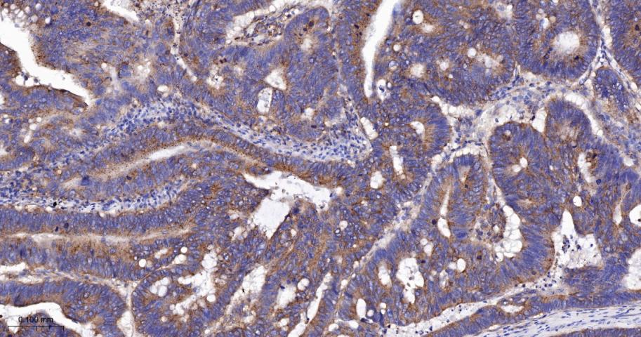 产品细节图片14