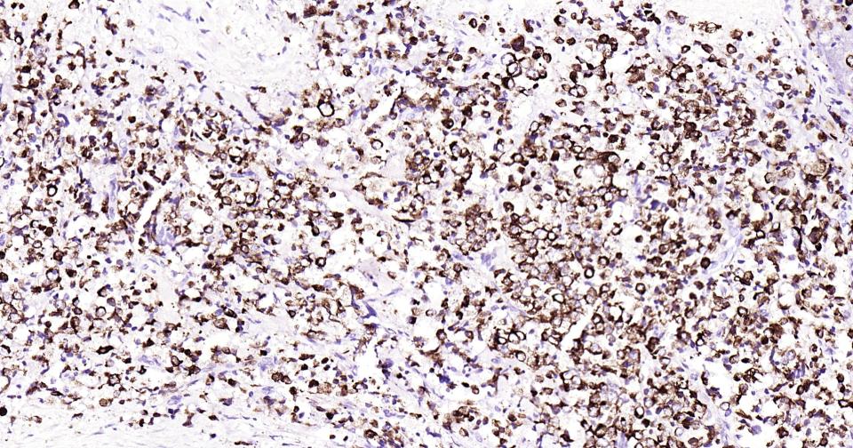 产品细节图片10