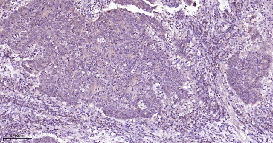 产品细节图片11