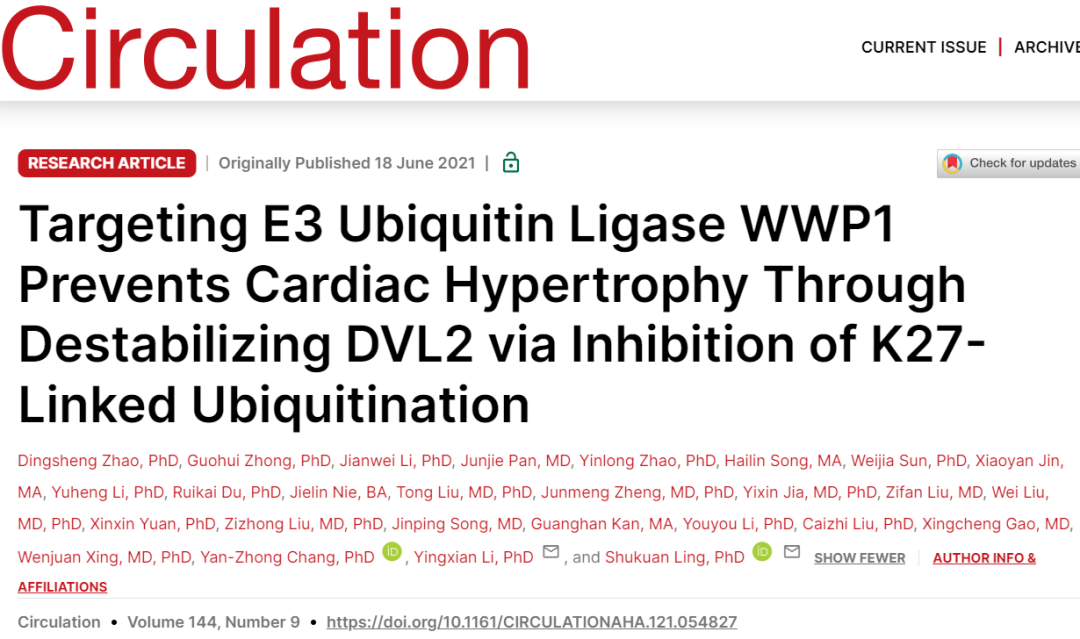 IF=23.603【AAV在心脏疾病中的应用】科学家揭示病理性心肌肥厚及心力衰竭治疗的潜在靶点