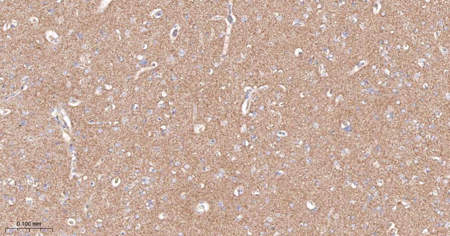 产品细节图片13