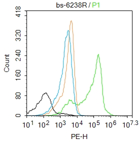 S100A7 Rabbit pAb(bs-6238R)-50