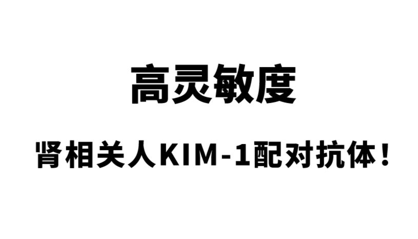 重点推荐 | 高灵敏度肾相关人KIM-1配对抗体！