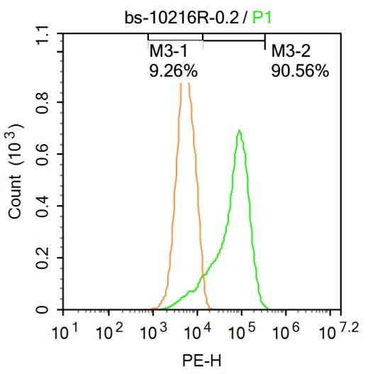 SOD1 Rabbit pAb(bs-10216R)-50u
