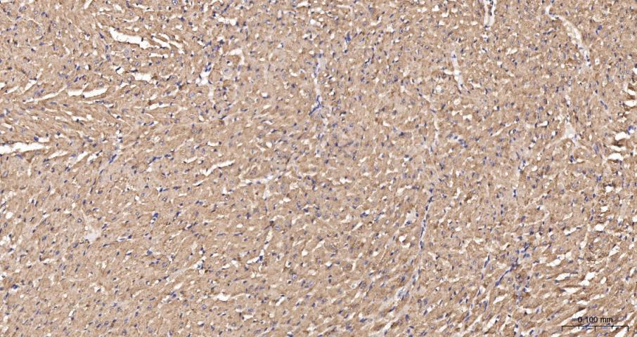 产品细节图片10