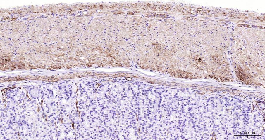 产品细节图片13