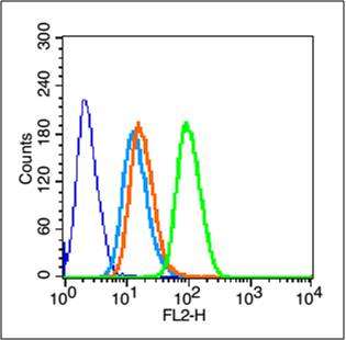 IASPP Rabbit pAb(bs-0284R)-50u