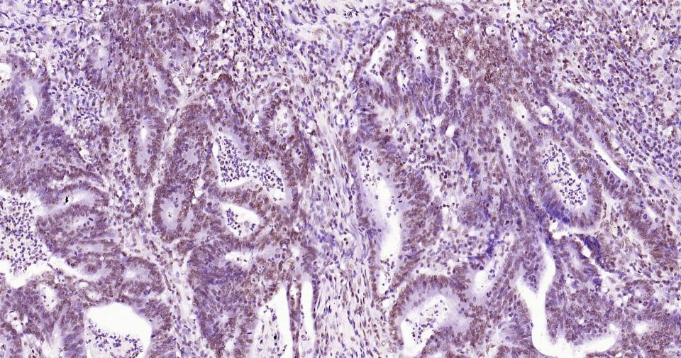 产品细节图片27