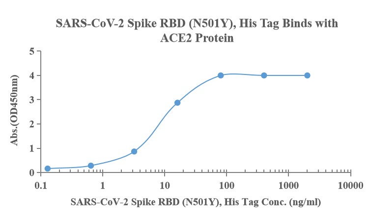 Recombinant SARS-Cov-2 Spike R