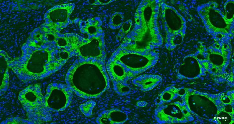 产品细节图片14