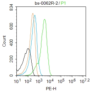 CALB2 Rabbit pAb(bs-0062R)-50u