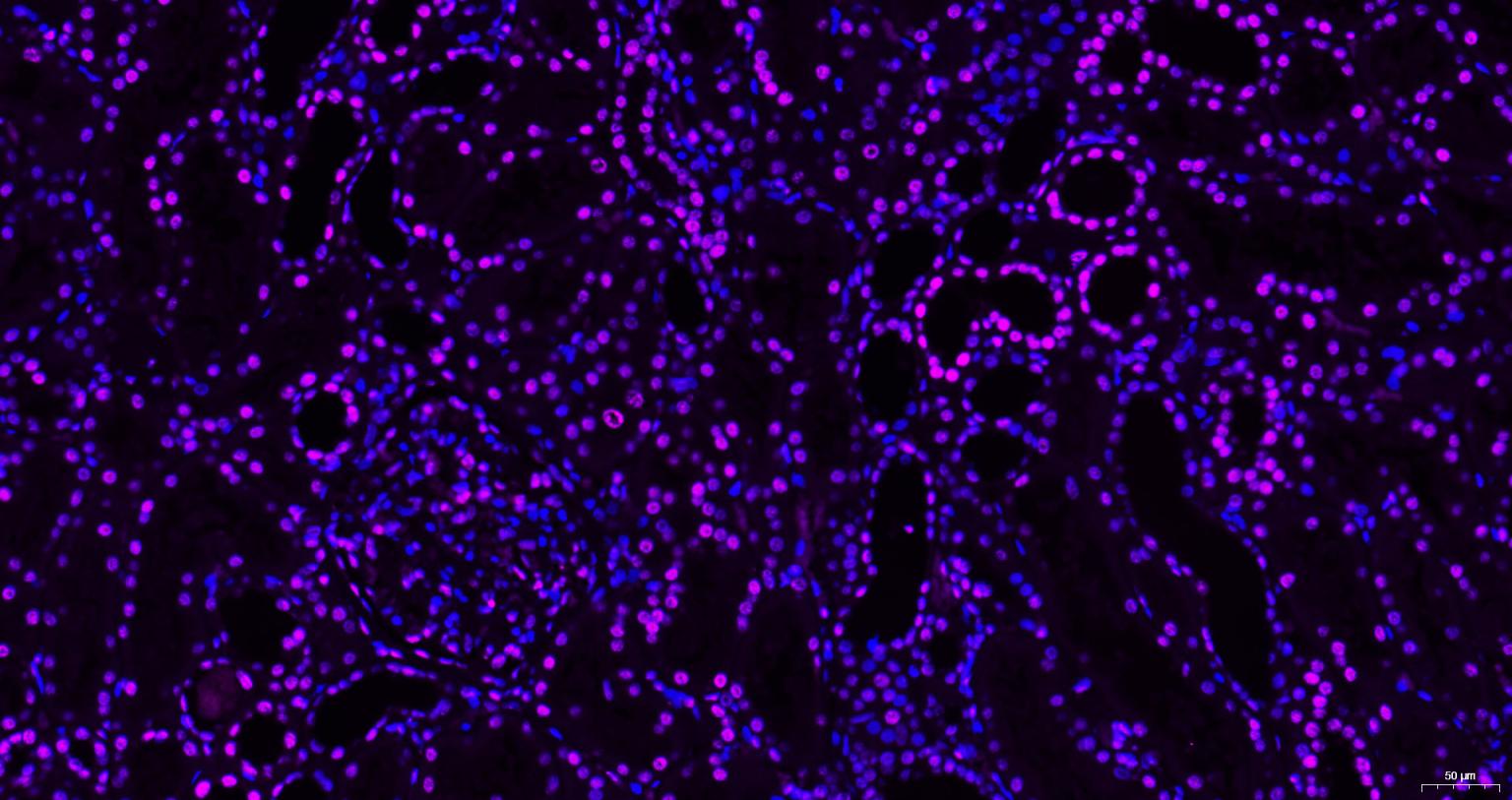 产品细节图片12