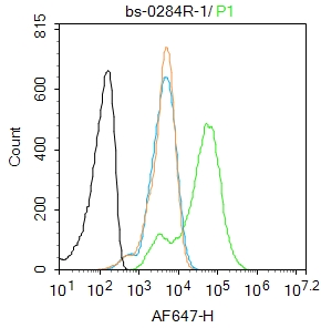 IASPP Rabbit pAb(bs-0284R)-50u