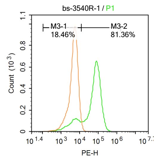PIM1 Rabbit pAb(bs-3540R)-50ul