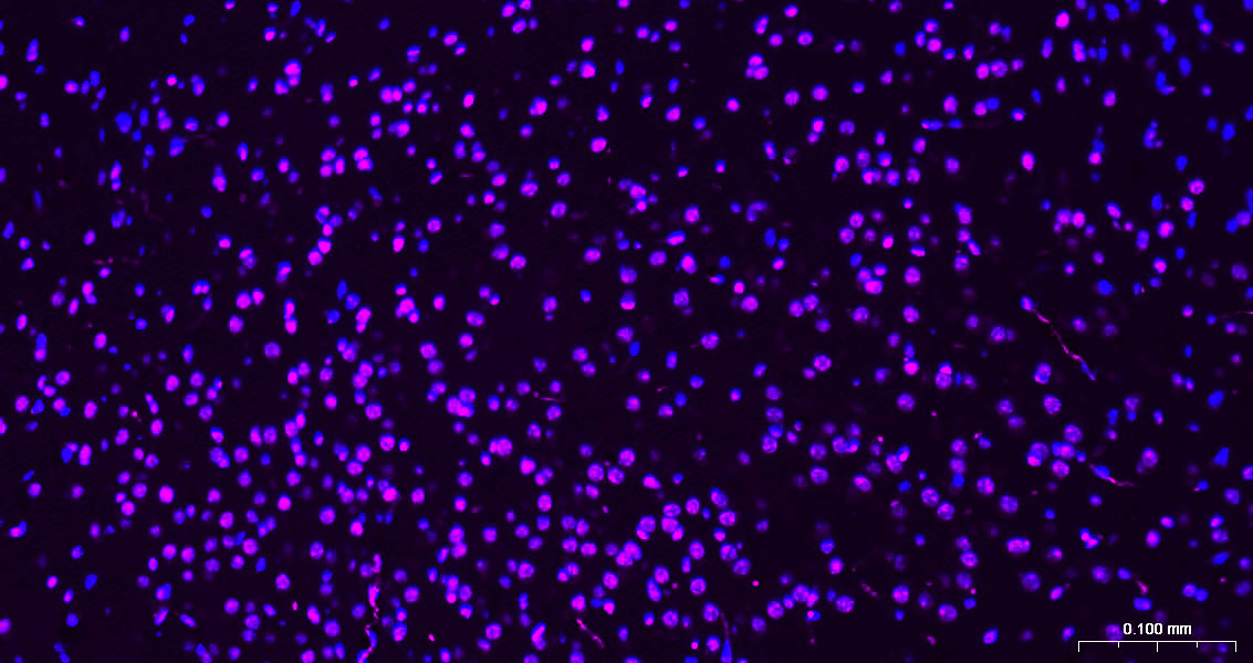 产品细节图片10