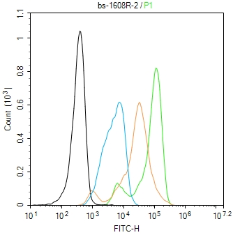 PDCD4 Rabbit pAb(bs-1608R)-50u