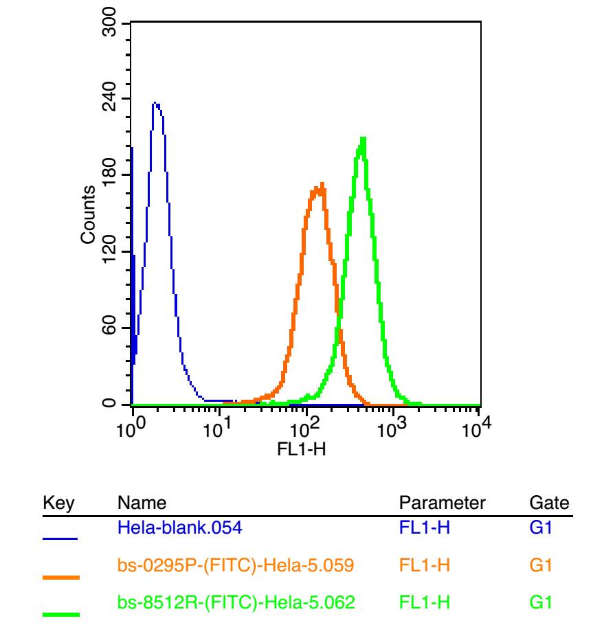 MSX1 Rabbit pAb(bs-8512R)-50ul