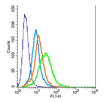 Activin A Receptor Type IC Rab