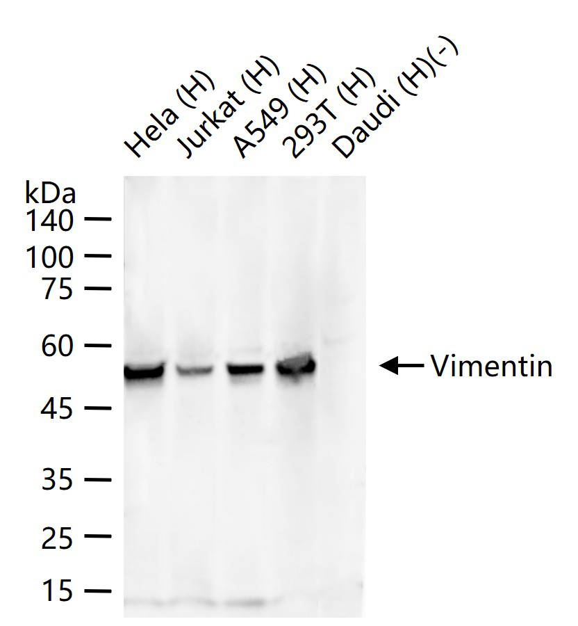 产品细节图片11