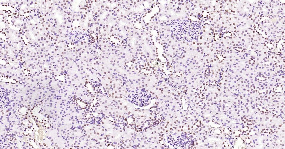 产品细节图片25