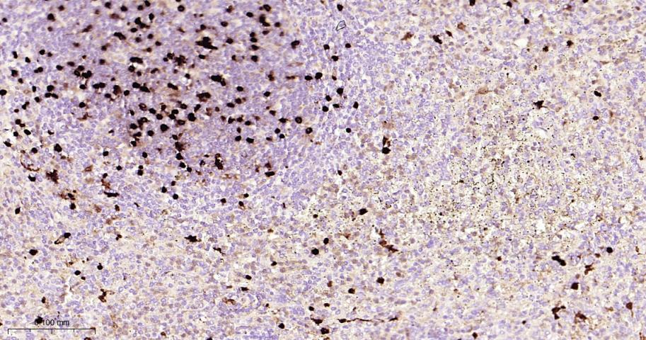 产品细节图片10