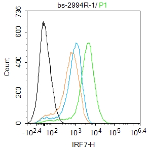 IRF7 Rabbit pAb(bs-2994R)-50ul