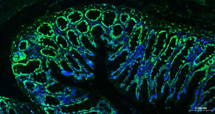 产品细节图片31