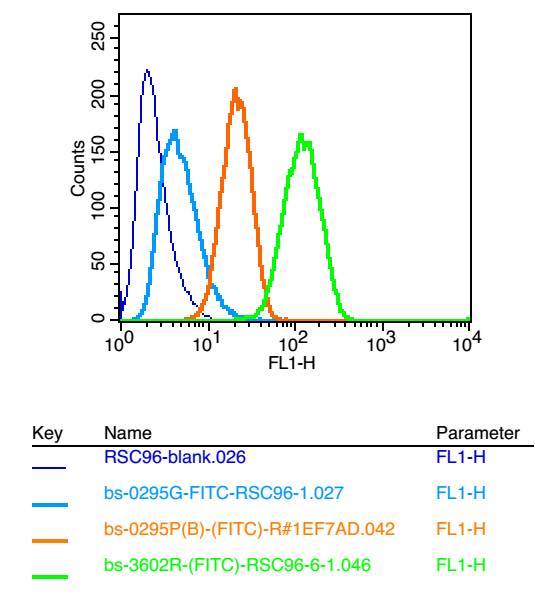 ATG1/ULK1 Rabbit pAb(bs-3602R)